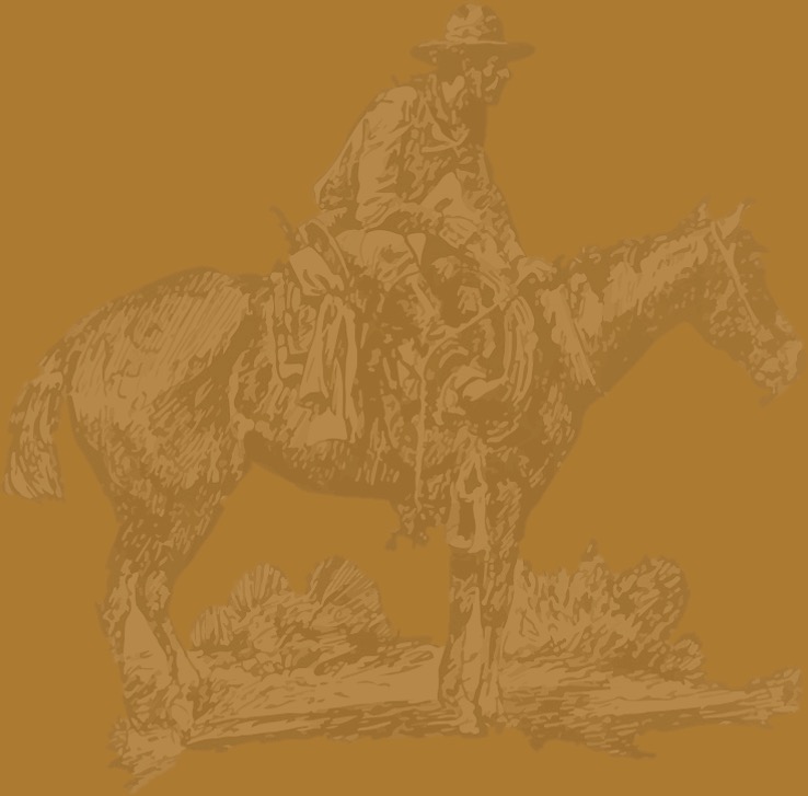 illistration of cowboy